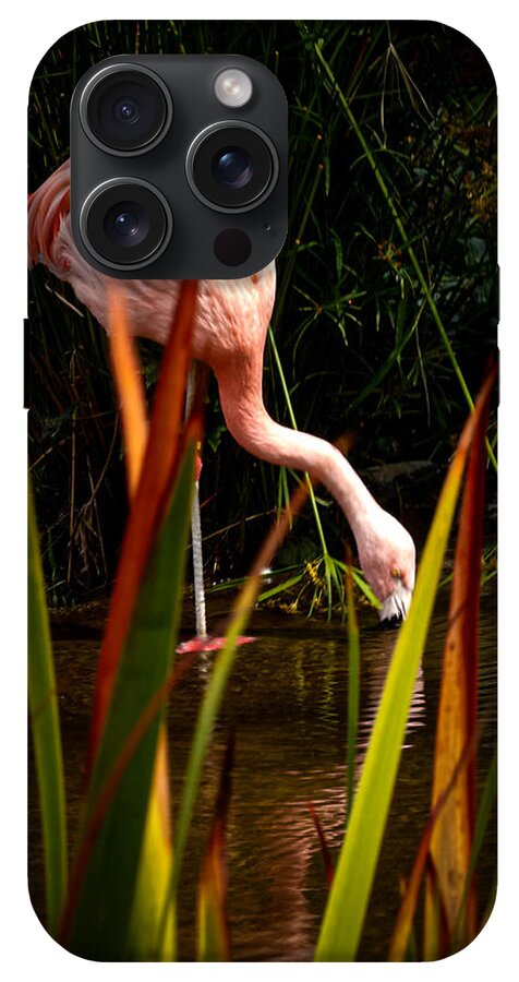 Taking a drink - Phone Case