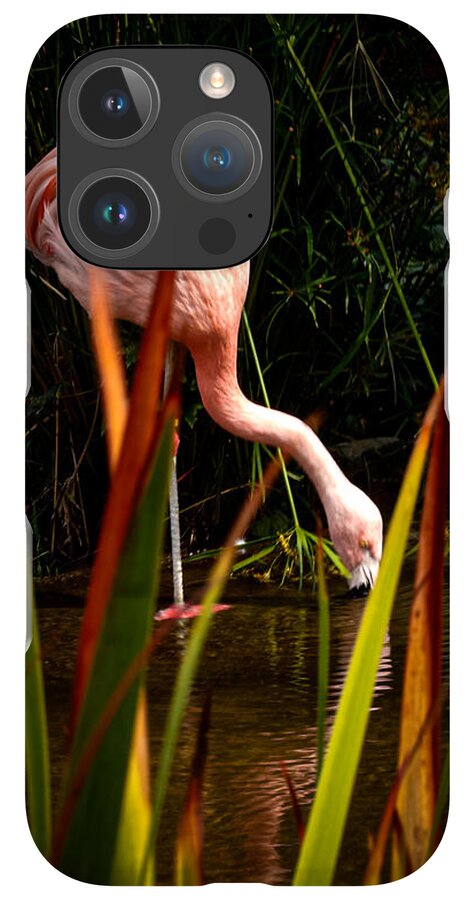 Taking a drink - Phone Case