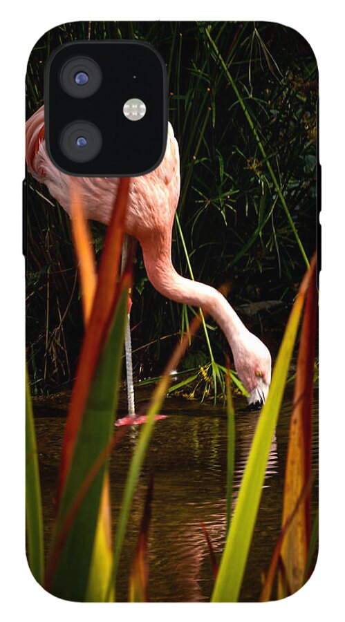 Taking a drink - Phone Case