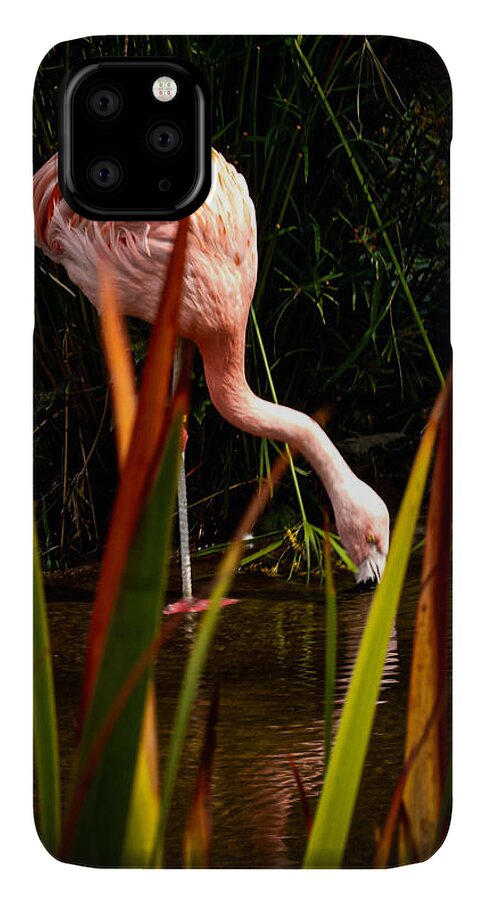 Taking a drink - Phone Case