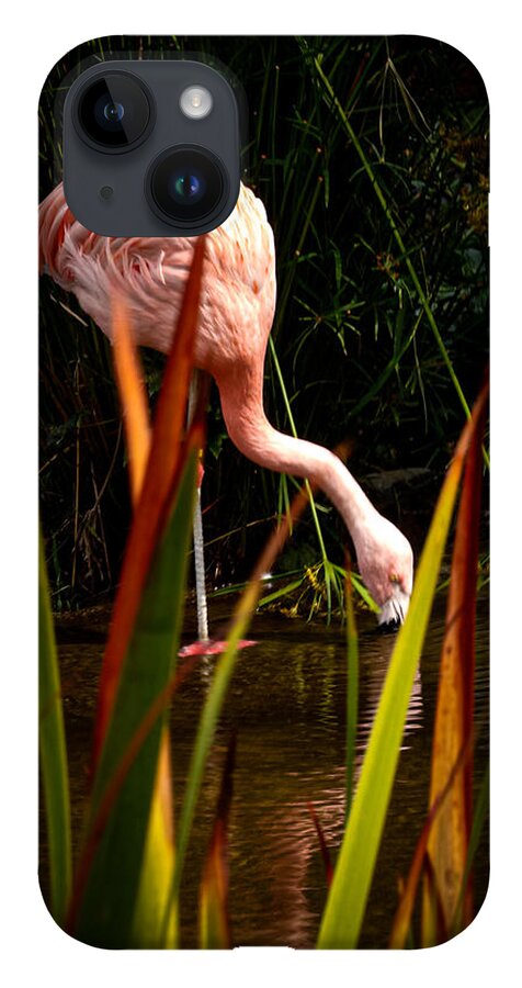 Taking a drink - Phone Case