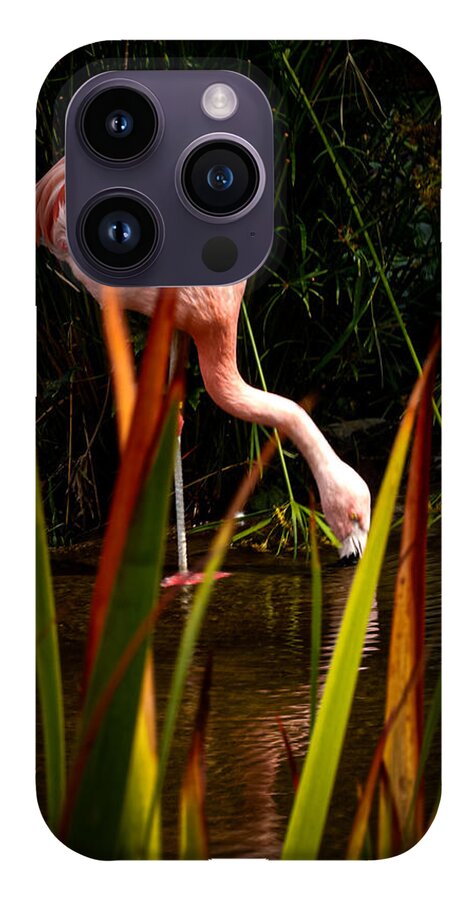 Taking a drink - Phone Case