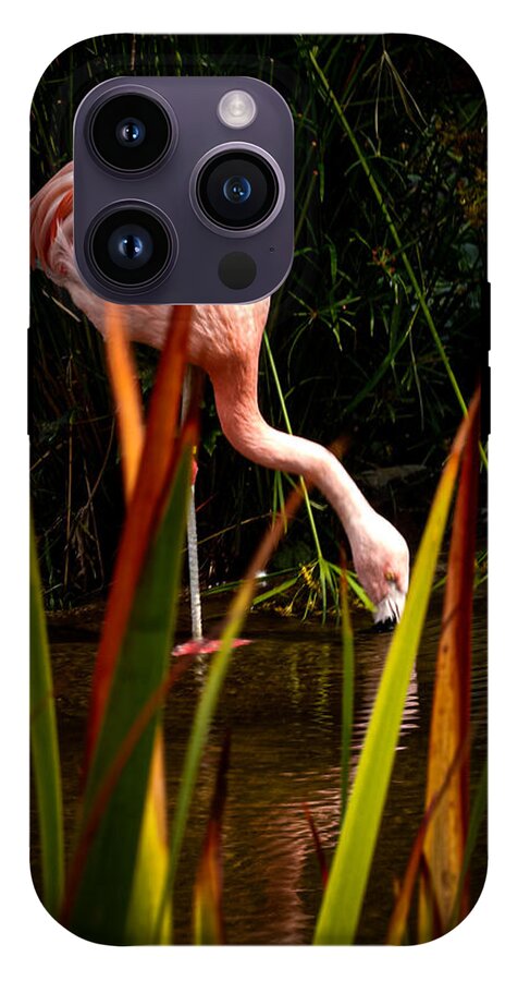 Taking a drink - Phone Case