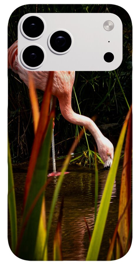 Taking a drink - Phone Case