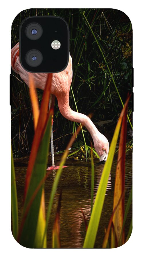 Taking a drink - Phone Case