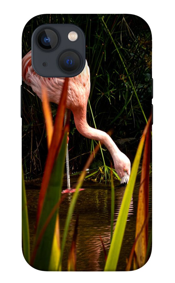 Taking a drink - Phone Case