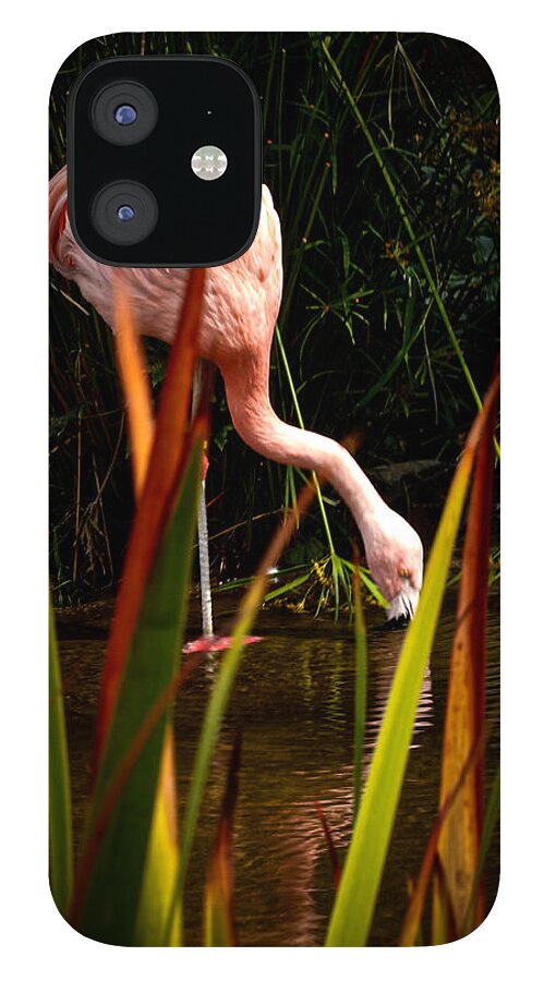 Taking a drink - Phone Case