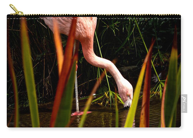 Taking a drink - Zip Pouch