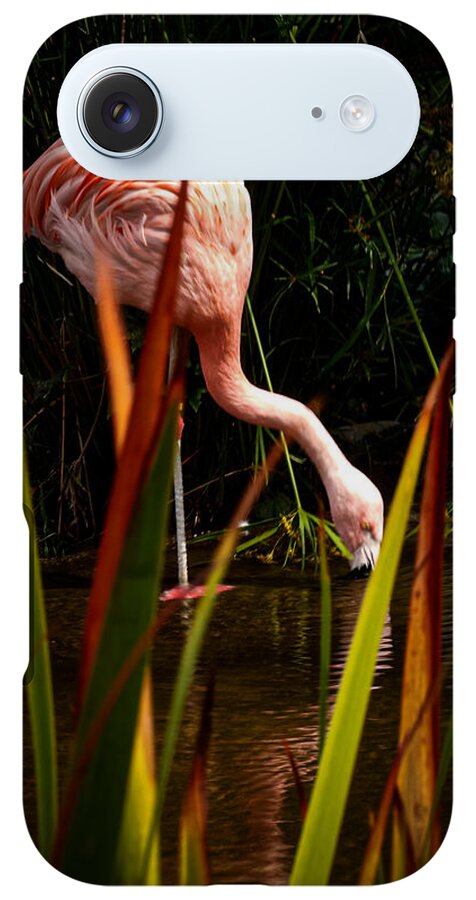 Taking a drink - Phone Case