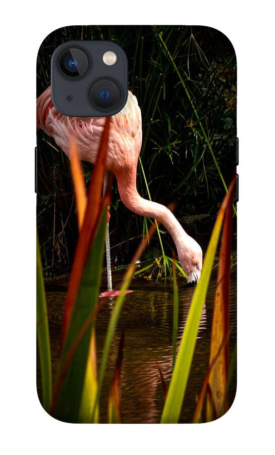Taking a drink - Phone Case