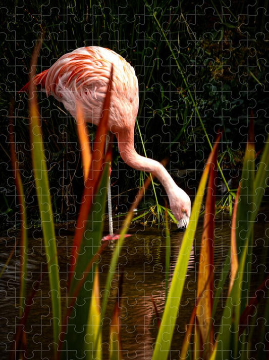 Taking a drink - Puzzle