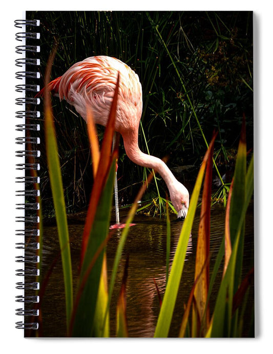 Taking a drink - Spiral Notebook