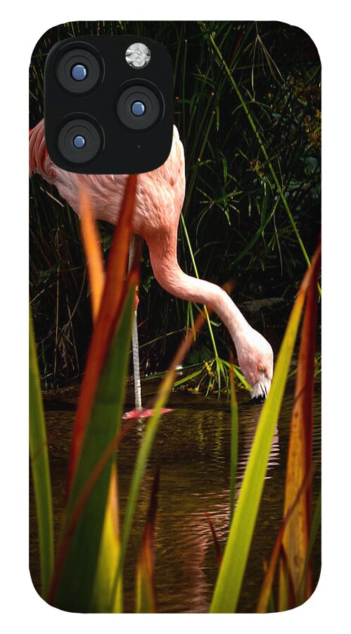 Taking a drink - Phone Case