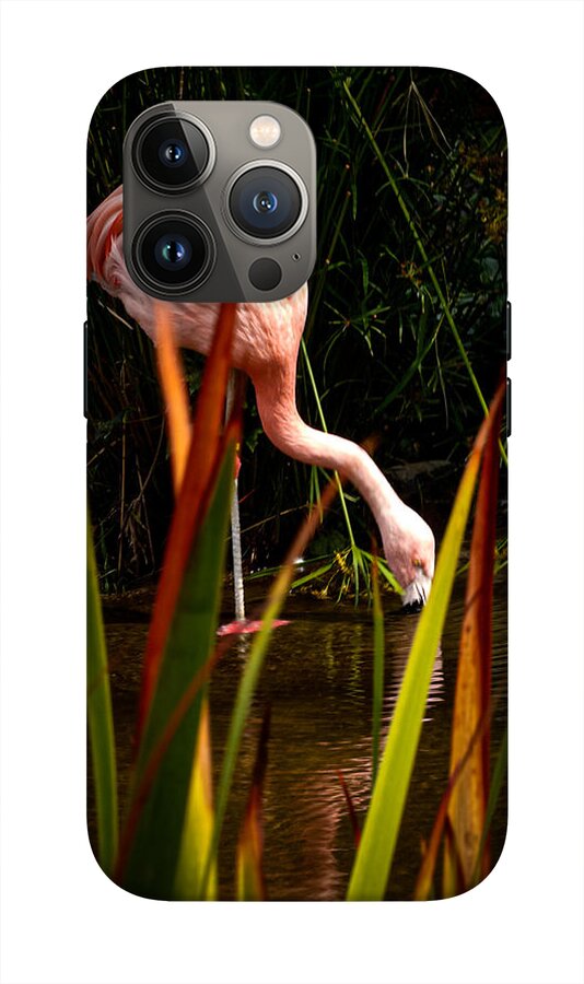 Taking a drink - Phone Case