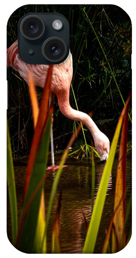 Taking a drink - Phone Case