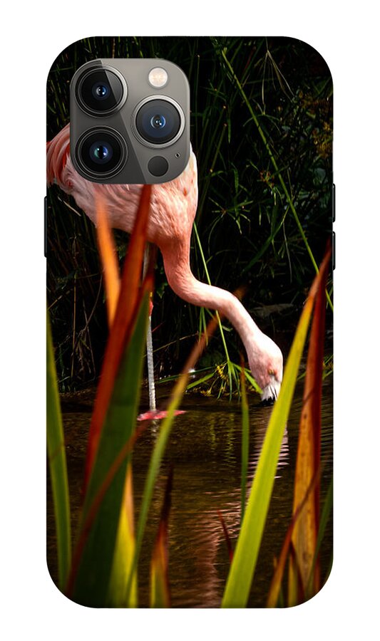 Taking a drink - Phone Case