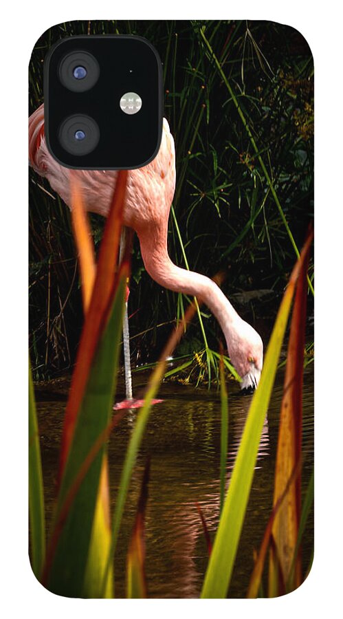 Taking a drink - Phone Case