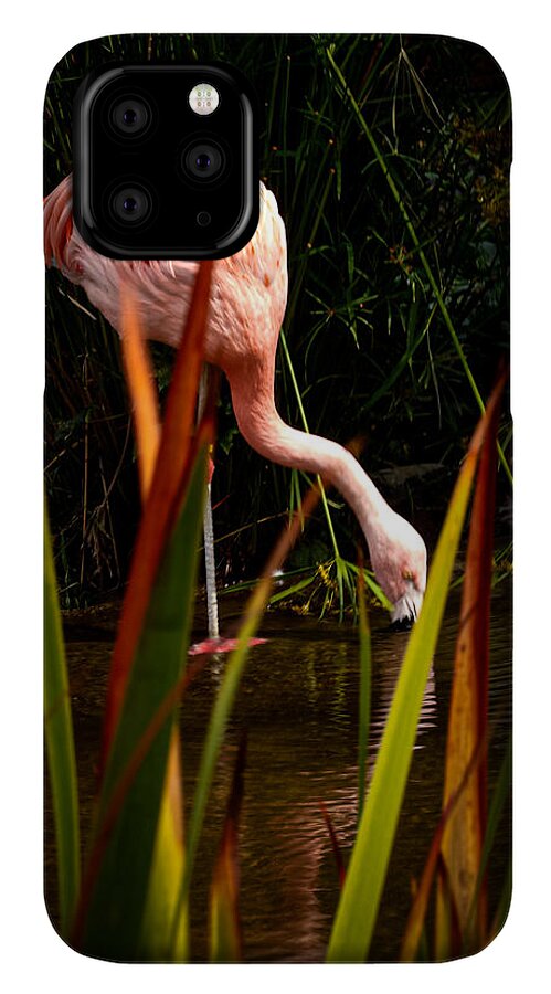 Taking a drink - Phone Case