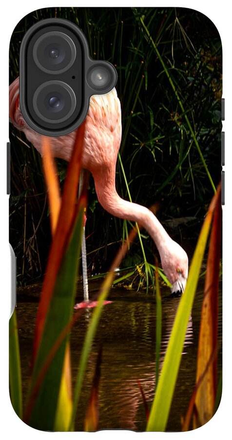 Taking a drink - Phone Case