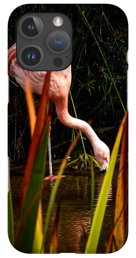 Taking a drink - Phone Case