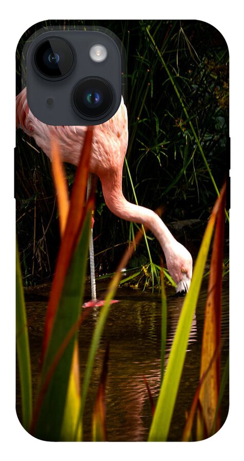 Taking a drink - Phone Case