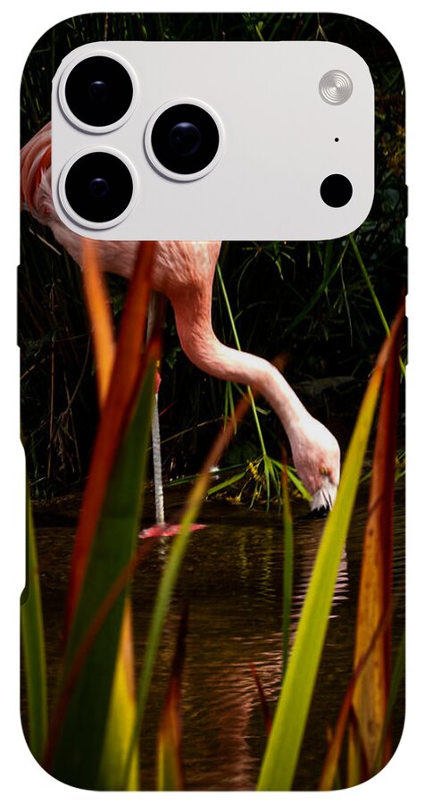 Taking a drink - Phone Case