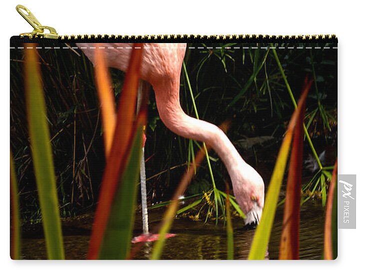 Taking a drink - Zip Pouch