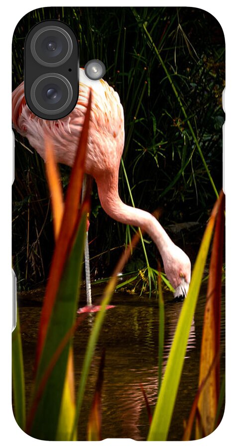 Taking a drink - Phone Case