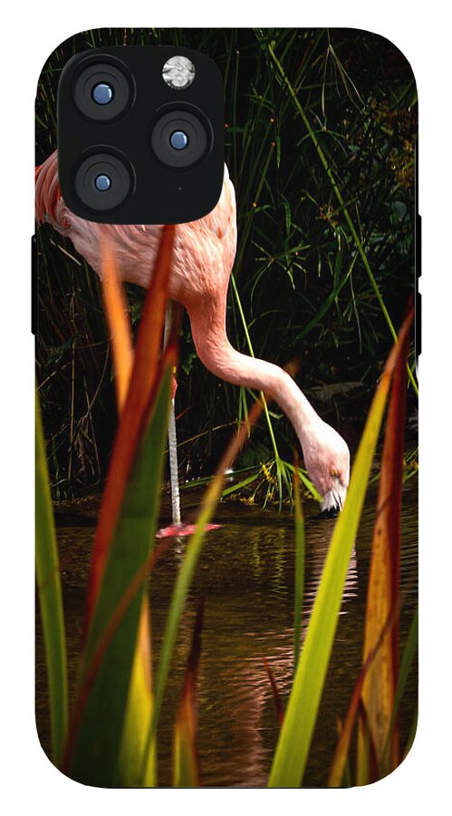 Taking a drink - Phone Case