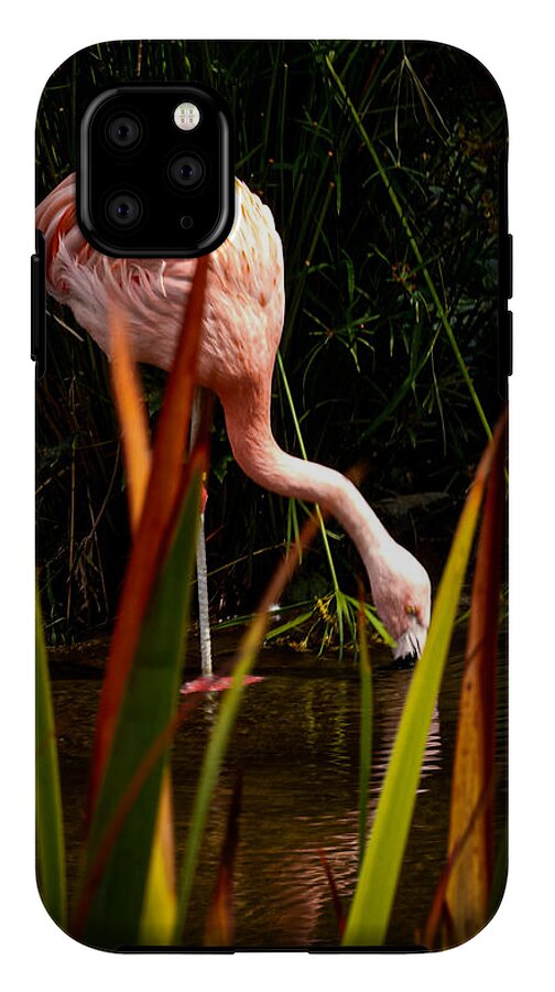 Taking a drink - Phone Case
