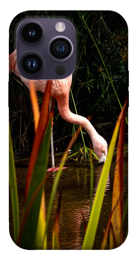 Taking a drink - Phone Case