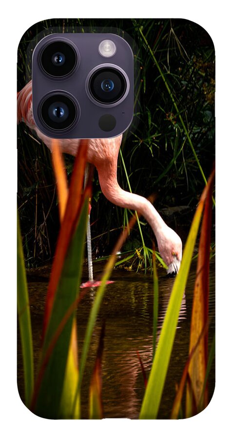 Taking a drink - Phone Case