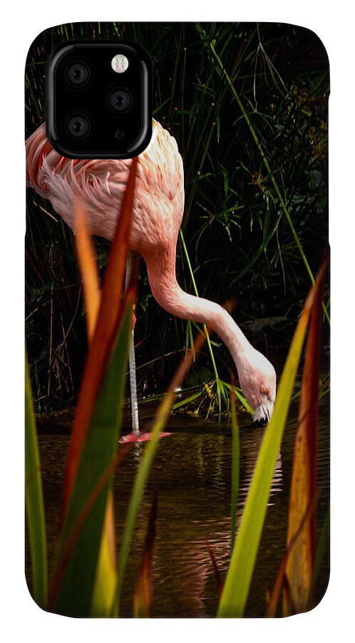 Taking a drink - Phone Case