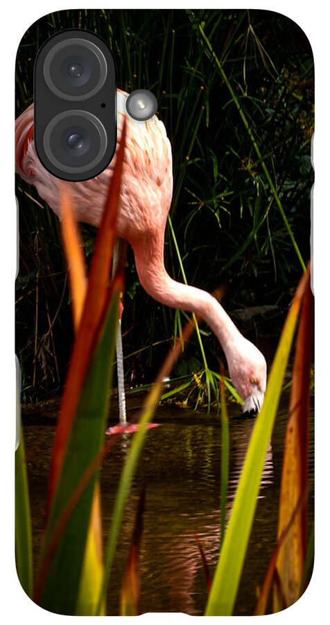 Taking a drink - Phone Case