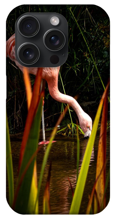 Taking a drink - Phone Case