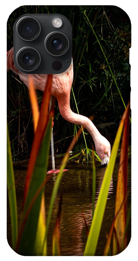 Taking a drink - Phone Case