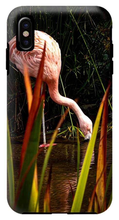 Taking a drink - Phone Case