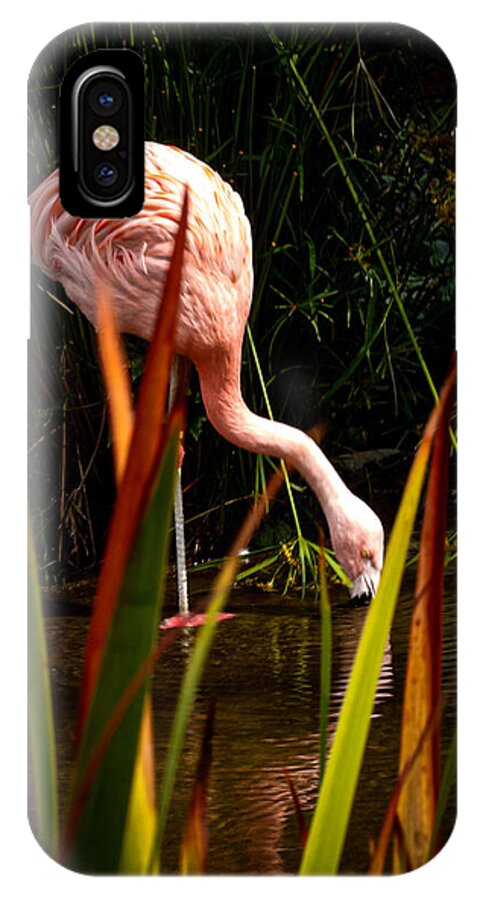Taking a drink - Phone Case