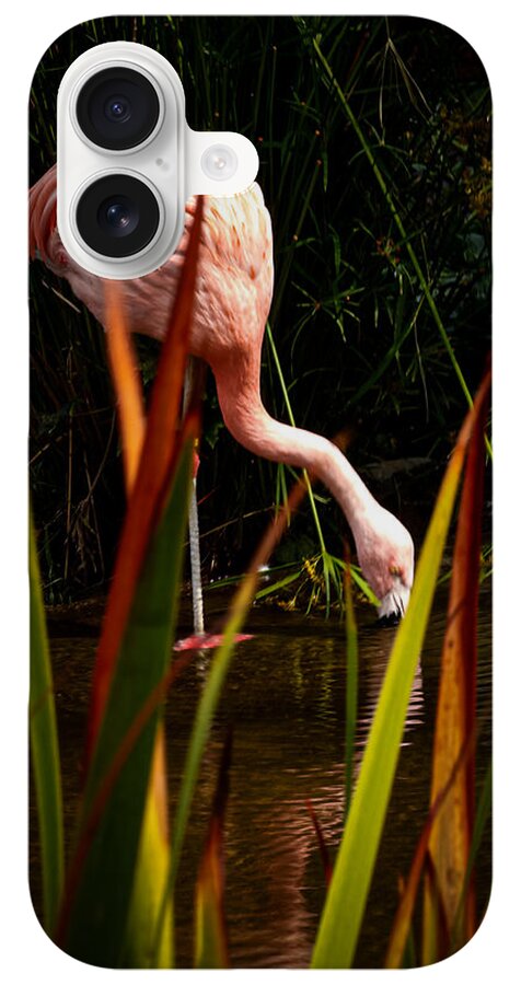 Taking a drink - Phone Case