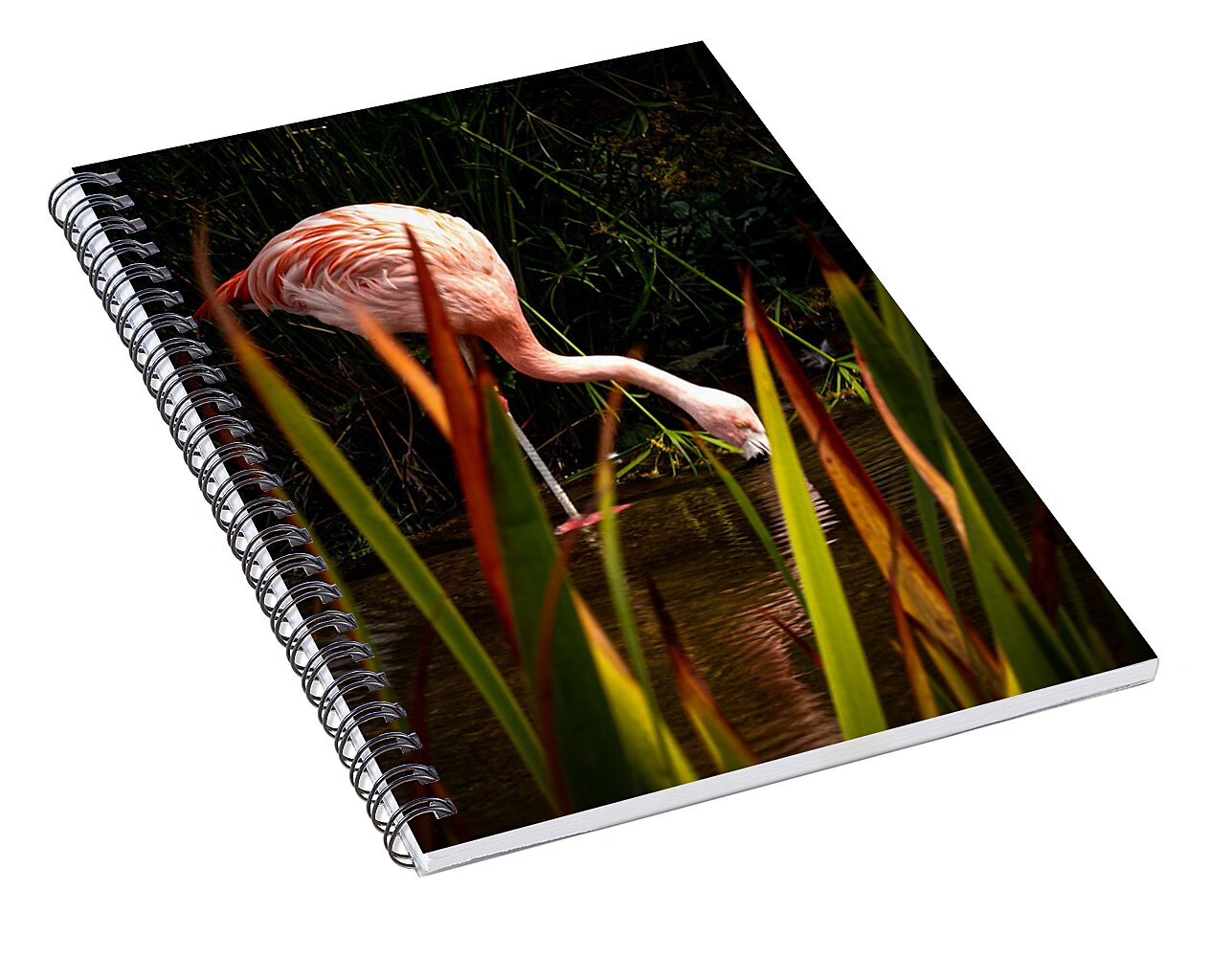 Taking a drink - Spiral Notebook