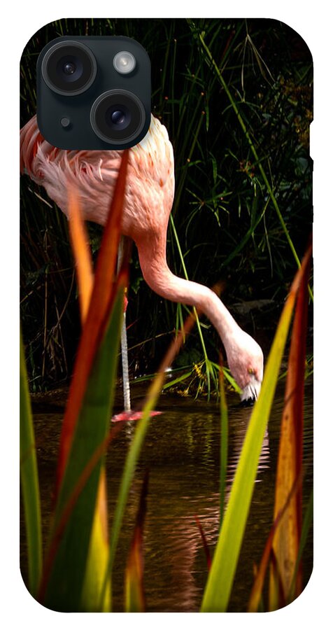 Taking a drink - Phone Case