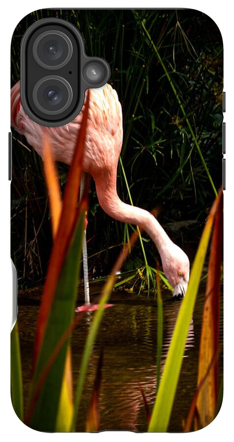 Taking a drink - Phone Case