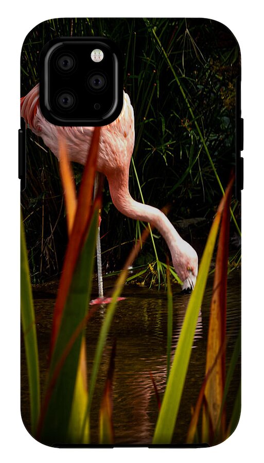 Taking a drink - Phone Case