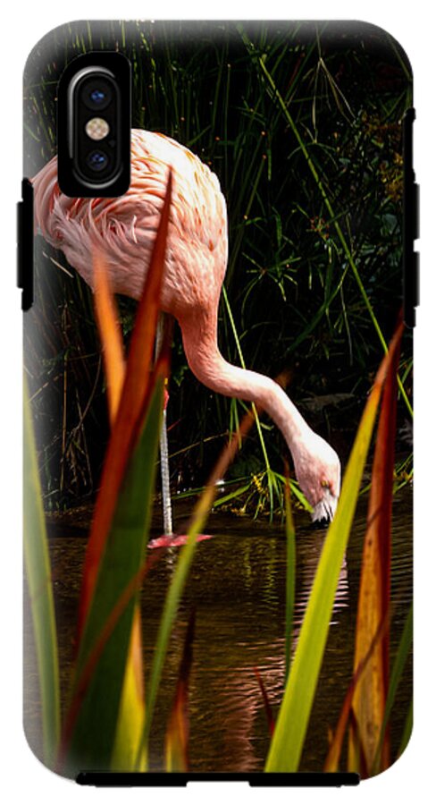Taking a drink - Phone Case