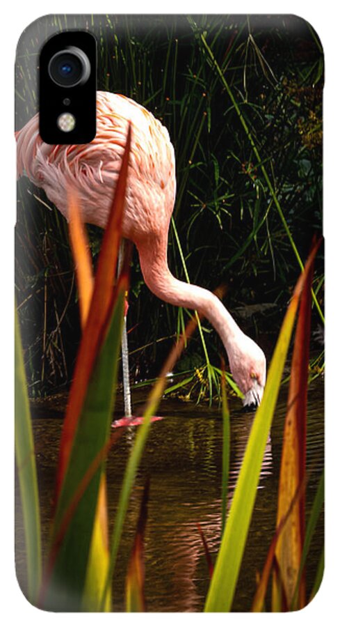 Taking a drink - Phone Case