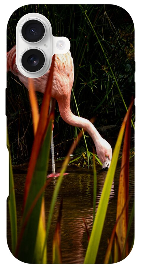 Taking a drink - Phone Case