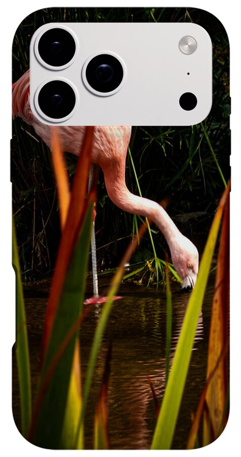 Taking a drink - Phone Case