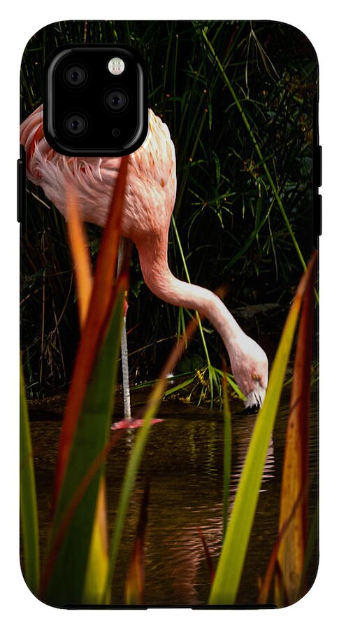 Taking a drink - Phone Case