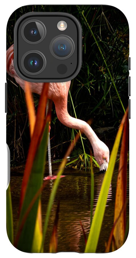 Taking a drink - Phone Case