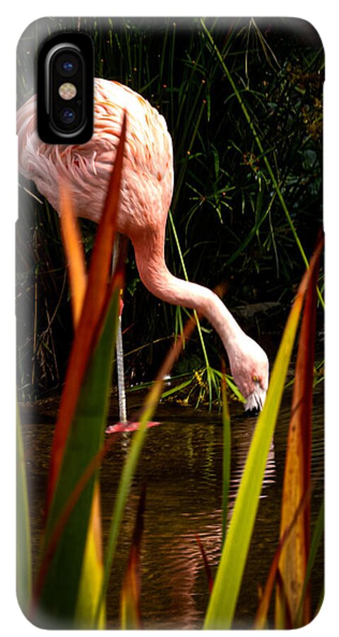 Taking a drink - Phone Case